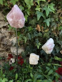 Rosenquarz, Turmalin im Muttergestein, Bergkristall